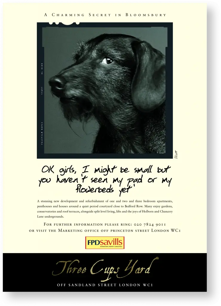 Property marketing advertising designed for Three Cups Yard.